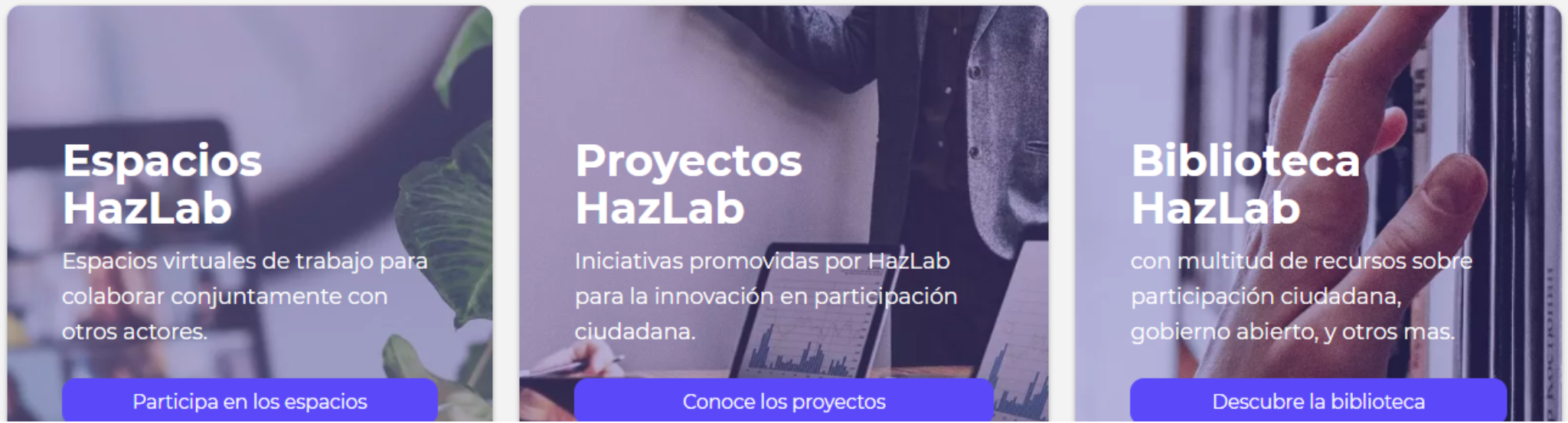 nueva web